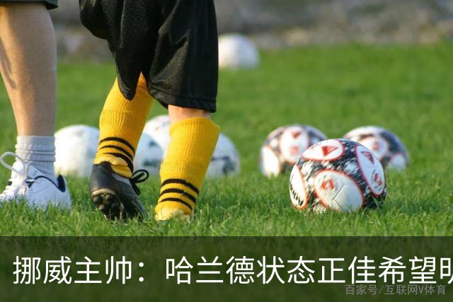 挪威主帅：哈兰德状态正佳希望明天继续 对厄德高有很高的期待