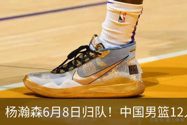 杨瀚森6月8日归队！中国男篮12人框架敲定，锋线王牌竟是他？